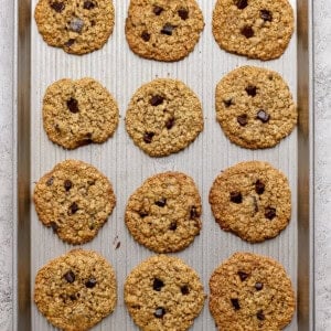 A baking sheet holds twelve baked oatmeal chocolate chip cookies arranged in three rows of four on a light-colored surface.