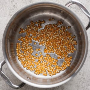 A stainless steel pot with a single layer of unpopped popcorn kernels spread across the bottom.