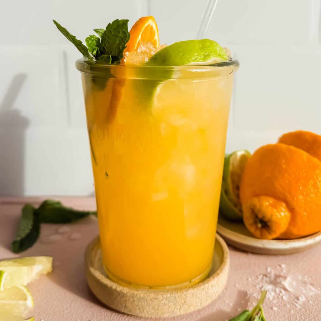 Coconut Citrus Nature's Gatorade