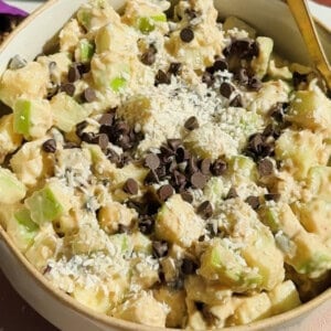 A bowl of chopped apples mixed with creamy sauce, topped with shredded coconut and chocolate chips, with a spoon on the side.