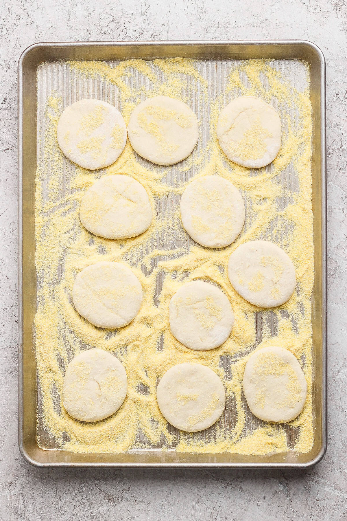 A baking sheet with twelve round, uncooked dough pieces on a layer of cornmeal, ready to be baked.