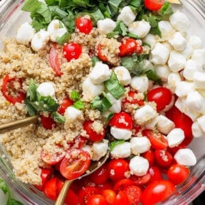 A bowl with quinoa, halved cherry tomatoes, mozzarella balls, and chopped basil, with two serving spoons.